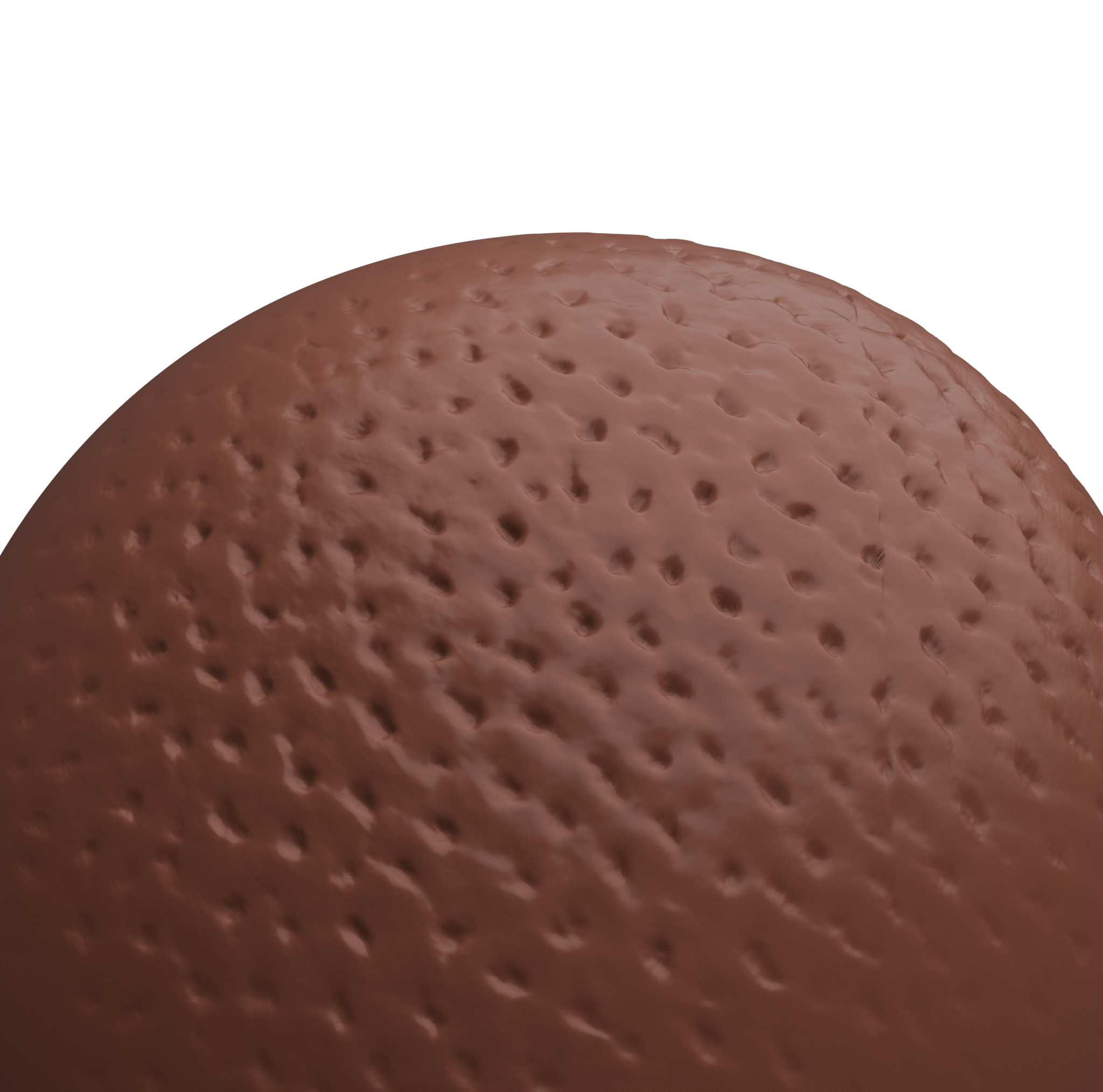 Pitted Pores FREE Human Body brushes BlenderKit