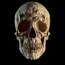"3D model of a human skull in Blender 3D, perfect for concept art and skeletal structures. The detailed face and natural bones create a realistic look, along with epic shaders inspired by artist Ken Danby. The model features a red eye on a black background, with a rusty texture for added effect."