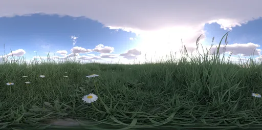 Morning grass green cloud