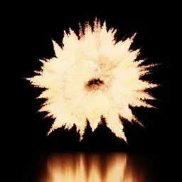 Aerial Explosion Static