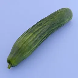 Cucumber vegetable garden food fruit