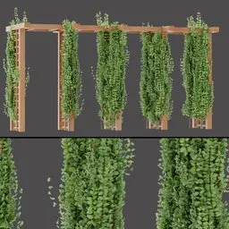 Pergola Leaf Wall