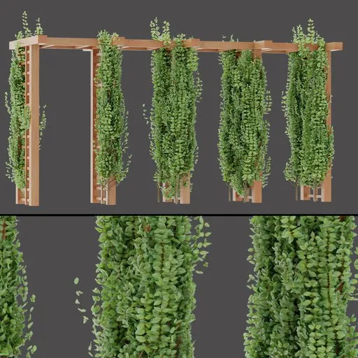 Pergola Leaf Wall