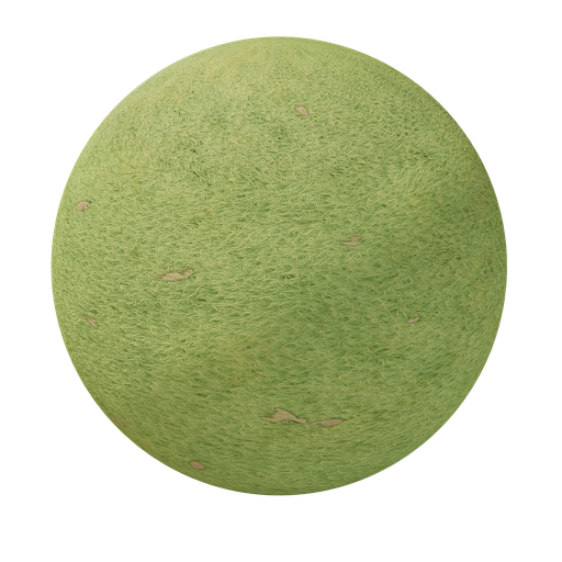 Thumbnail: Grass