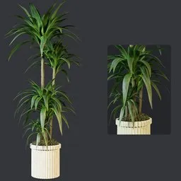 Detailed palm plant Blender 3D model with modern vase, optimized mesh for nature-indoor visuals.