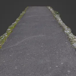 Pathway Photoscan