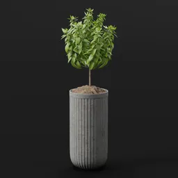 Minimal Topiary Tree Pot