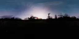 Forest Sunset Evening