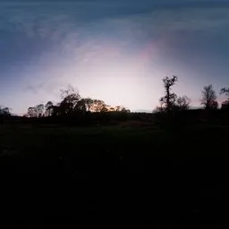 Forest Sunset Evening