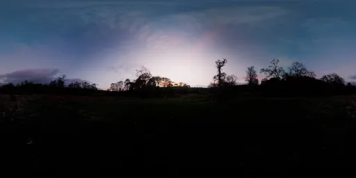 Forest Sunset Evening