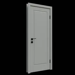 Door modern