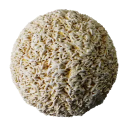 White Rice Grains