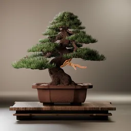Japanese Bonsai Tree Solitaire