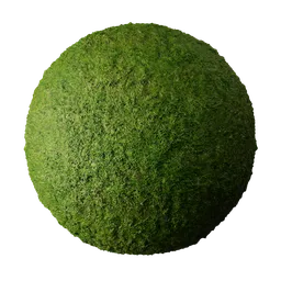 High-quality 2K PBR grass texture for realistic 3D lawn rendering in Blender and similar applications.