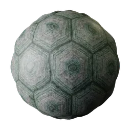 Turtle shell