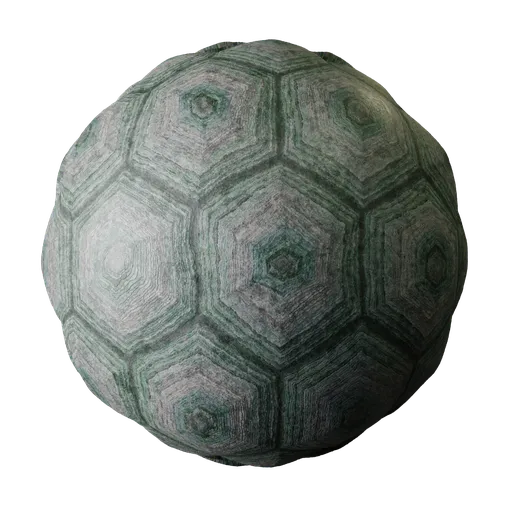 Turtle shell