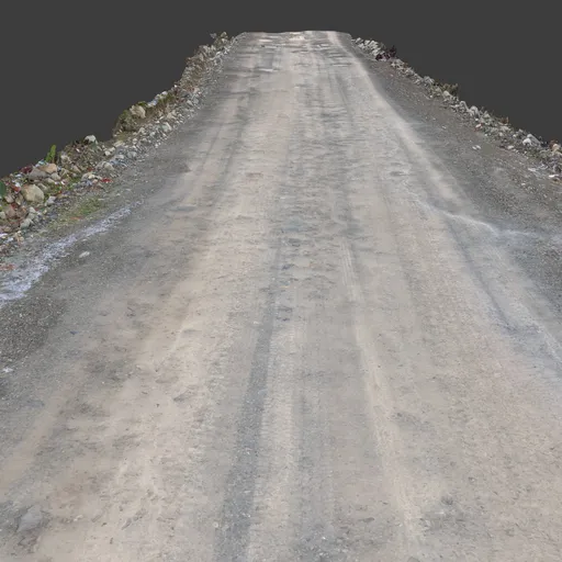 Dirt Road Path Photoscan