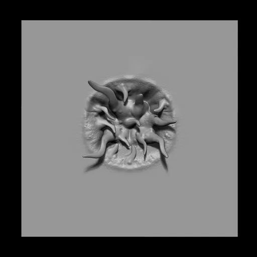 3D model with NS parasite mouth tentacles brush effect for Blender sculpting, ideal for horror creature design.
