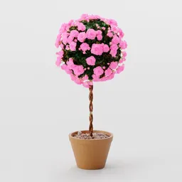 Rose Bush Standardised Pink