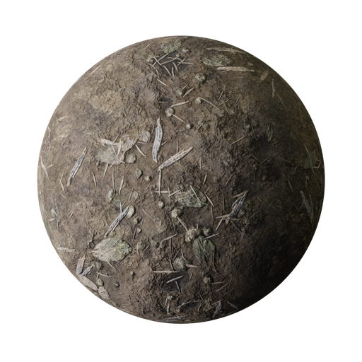 Thumbnail: Forest dirt