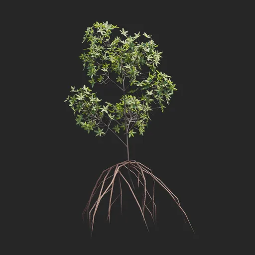 Mangrove Plant + Geometry Nodes + animation