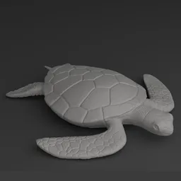 Stylized Sea Turtle 3D Printing