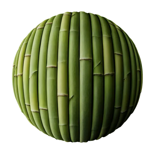 Bamboo