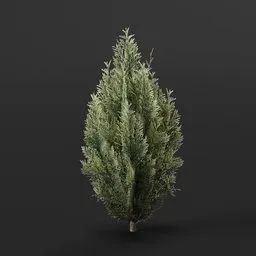 High-quality 3D model of a small Red Cedar Bush, perfect for Blender projects, game environments, and outdoor virtual landscaping.
