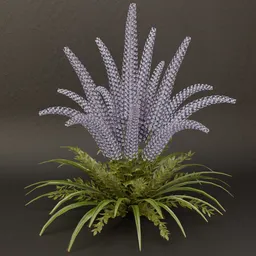 SJ-Shimmering Amethyst Wild Orchid