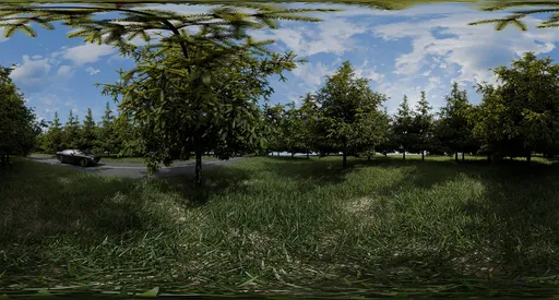 Forest Roadside With Car