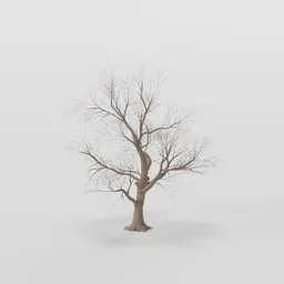 Large Rottenpine