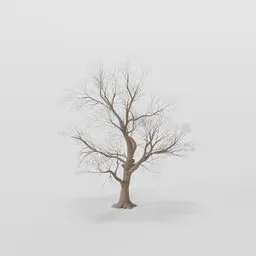 Large Rottenpine