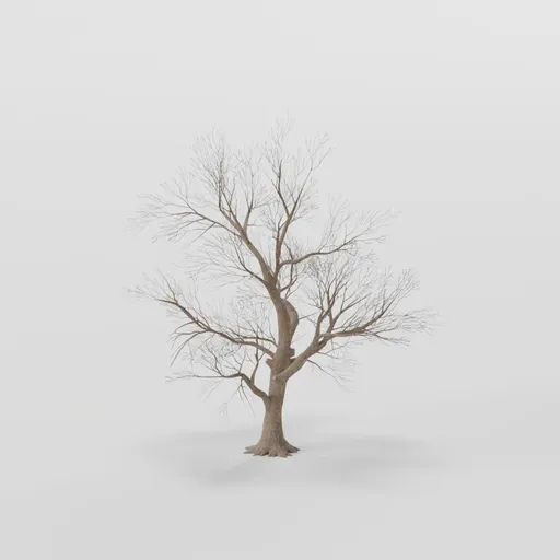 Large Rottenpine