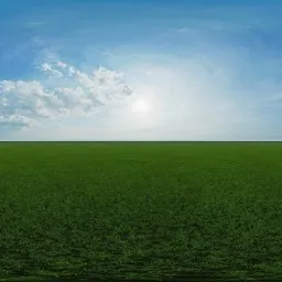 Green grass cloudy blue sky pure sky