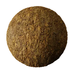 High-resolution 2K PBR tree bark material for realistic texturing in Blender 3D and other modeling apps.