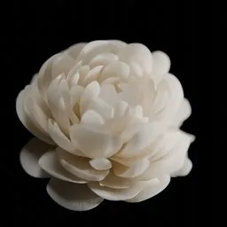 Detailed 3D jasmine flower model rendered in Blender, perfect for virtual bouquets.