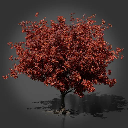 Realistic Tree