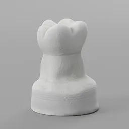 Tooth Sculpture Upper Second Molar