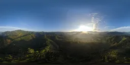 Daytime forest sunlight HDR