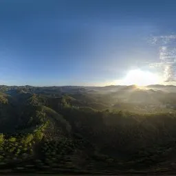 Daytime forest sunlight HDR