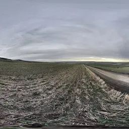 The afterglow of the sunset in the wild