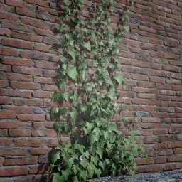 Highly detailed ivy 3D model climbing on a brick wall, ideal for realistic game environments and 3D scenes in Blender.