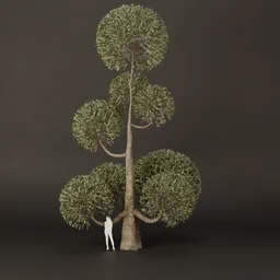SJ-Ornamental Tree Ring Motion