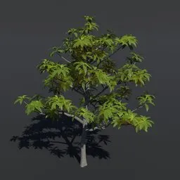 "Highly detailed 3D model of a Tree Avocado, perfect for cinematic renderings and game development. Comes with PBR textures and materials. Created using Blender 3D software."