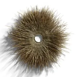 "Boho style wall decor 3D model for Blender 3D, featuring a small round grass object on a white surface inspired by Charles Furneaux. Accessorize your interior design with this photorealistic, yellow fur, phragmites, compute shader and denoised wall hanging trophy taxidermy."