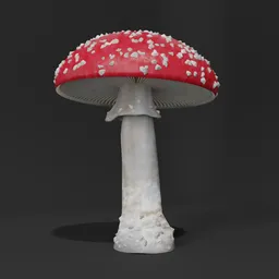 Detailed 3D model of a red and white spotted toadstool, Amanita muscaria, for Blender rendering.