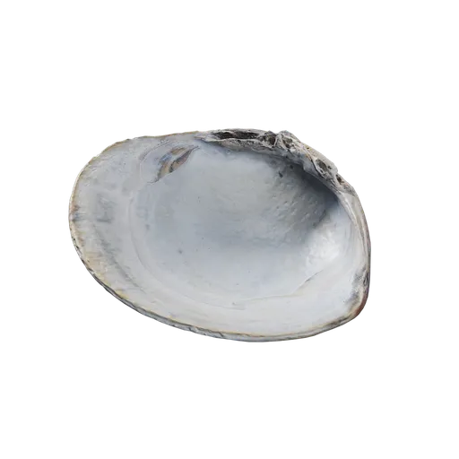 River Shell
