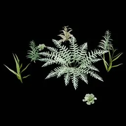 Realistic Outdoor Plants