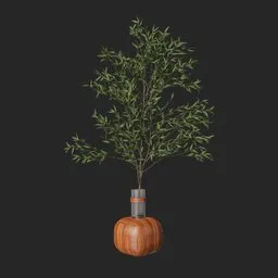 Plant