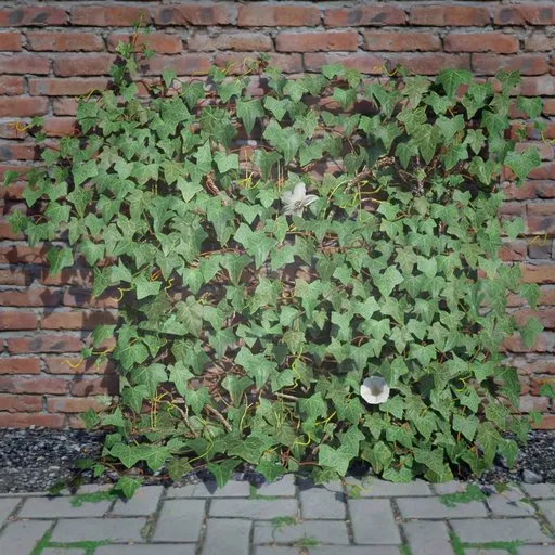 Realistic 3D ivy model for Blender, ideal for game assets or virtual scene enhancement.